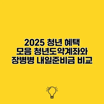 2025 청년 혜택 모음 청년도약계좌와 장병병 내일준비금 비교
