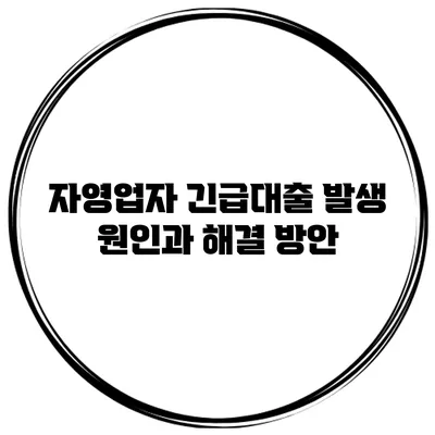 자영업자 긴급대출 발생 원인과 해결 방안