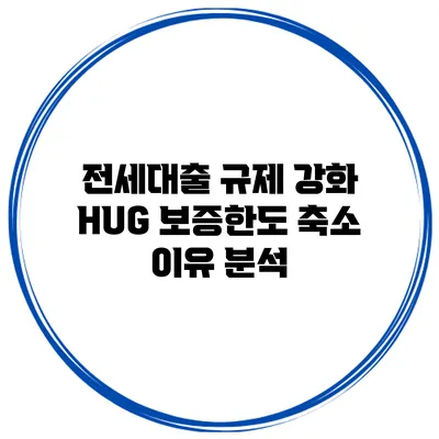 전세대출 규제 강화 HUG 보증한도 축소 이유 분석
