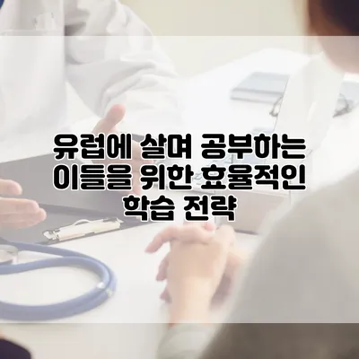 유럽에 살며 공부하는 이들을 위한 효율적인 학습 전략